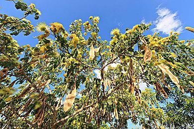 吉卜力动画风格新作《Europa》发布最新预告片